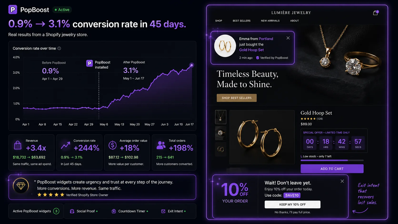 Shopify conversion rate case study jewelry store